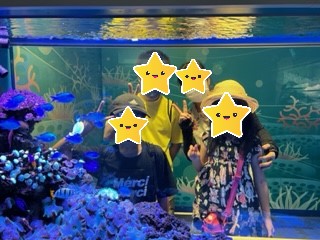 ブログ水族館①